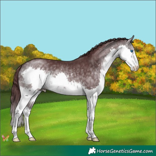 Horse Color:Platinum Chocolate Buckskin Splash 