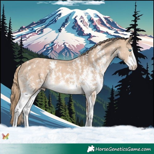 Horse Color:Chocolate Perlino Sabino 