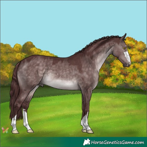 Horse Color:Platinum Chocolate Brown Dun 