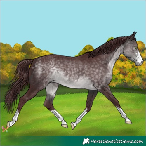 Horse Color:Platinum Chocolate Buckskin 