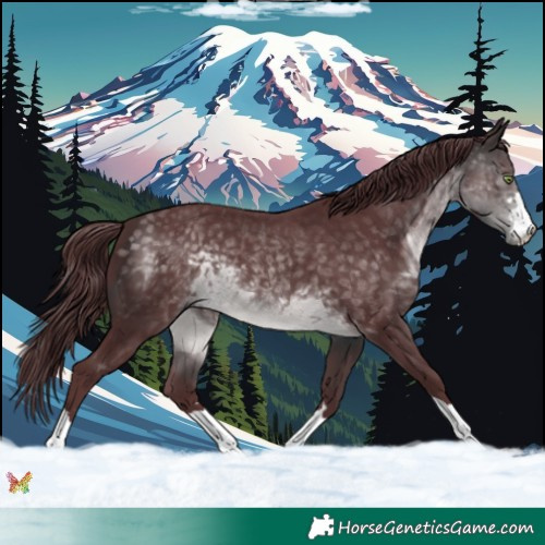 Horse Color:Platinum Chocolate Buckskin 