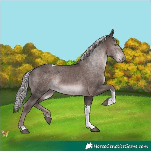 Horse Color:Platinum Liver Chestnut Tobiano 