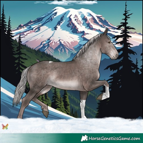 Horse Color:Platinum Liver Chestnut Tobiano 