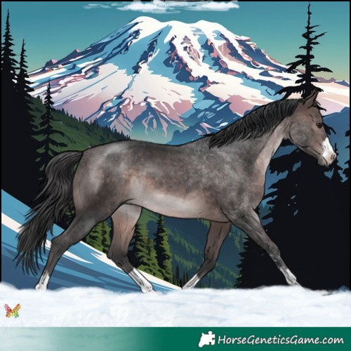 Horse Color:Platinum Brown 