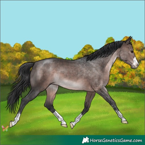 Horse Color:Platinum Brown 