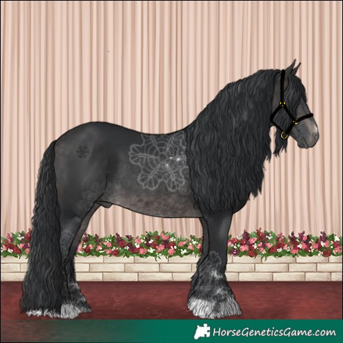Horse Color:Platinum Brown 