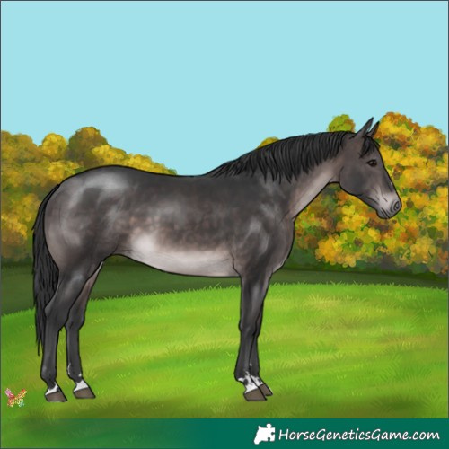 Horse Color:Platinum Brown 