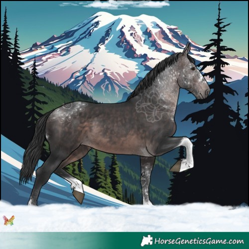 Horse Color:Platinum Brown Tobiano 