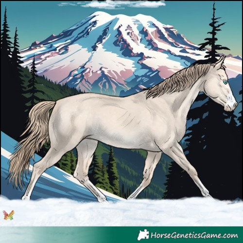 Horse Color:Chocolate Perlino Dun 