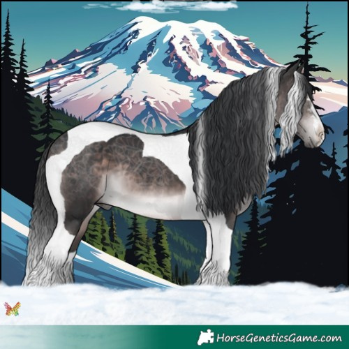 Horse Color:Platinum Brown Tobiano 