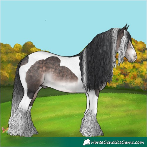 Horse Color:Platinum Brown Tobiano 