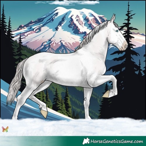 Horse Color:Platinum Perlino Dun Splash Tobiano 