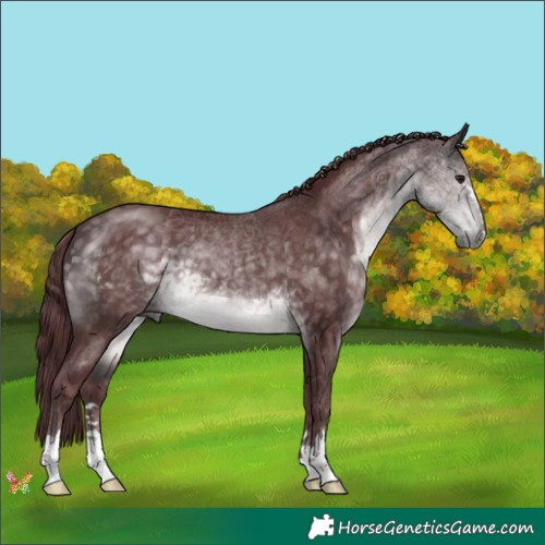 Horse Color:Platinum Chocolate Buckskin 