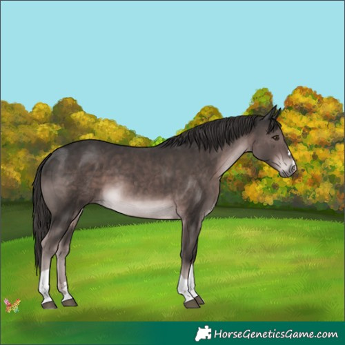 Horse Color:Platinum Liver Chestnut Tobiano 