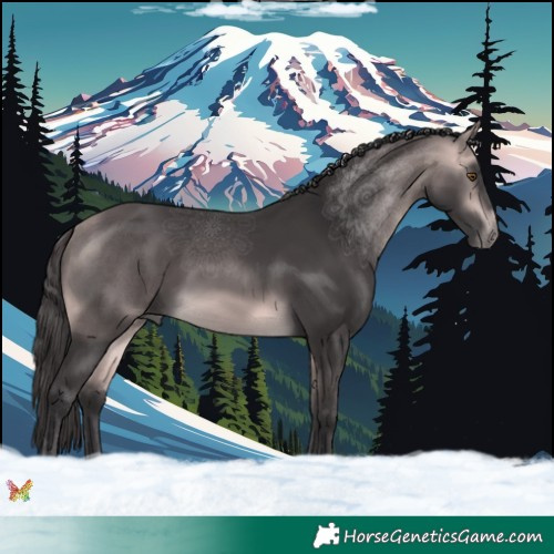 Horse Color:Platinum Buckskin 