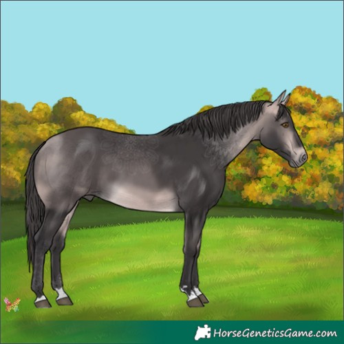 Horse Color:Platinum Buckskin 