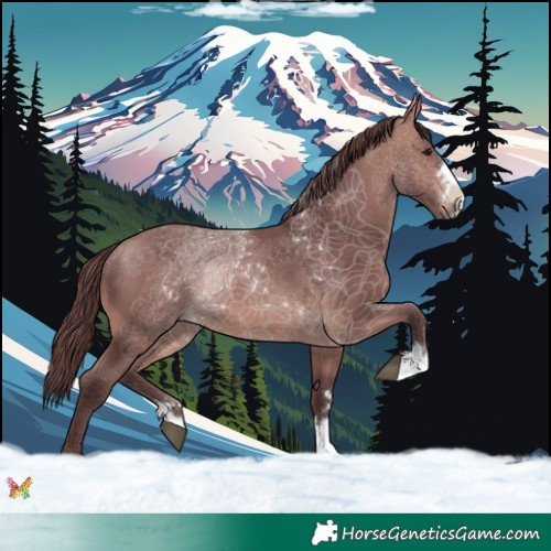 Horse Color:Platinum Chocolate Bay 