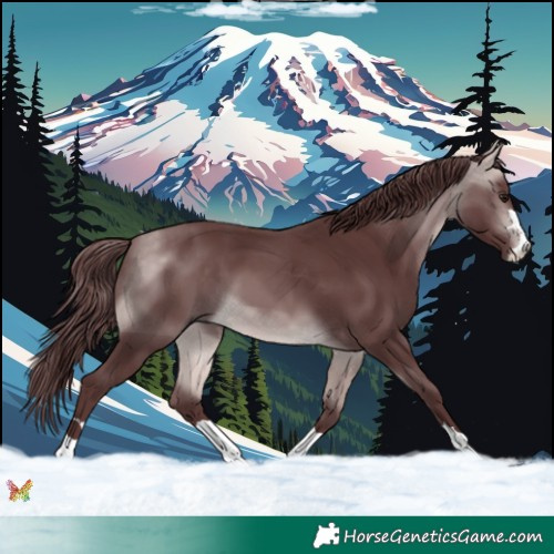 Horse Color:Platinum Chocolate Buckskin 