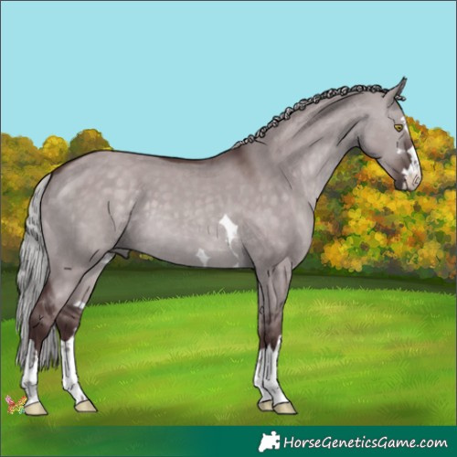 Horse Color:Platinum Chocolate Silver Brown Dun 