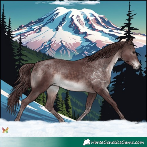 Horse Color:Platinum Chocolate Brown 