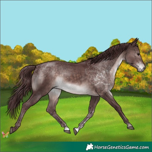 Horse Color:Platinum Chocolate Brown 