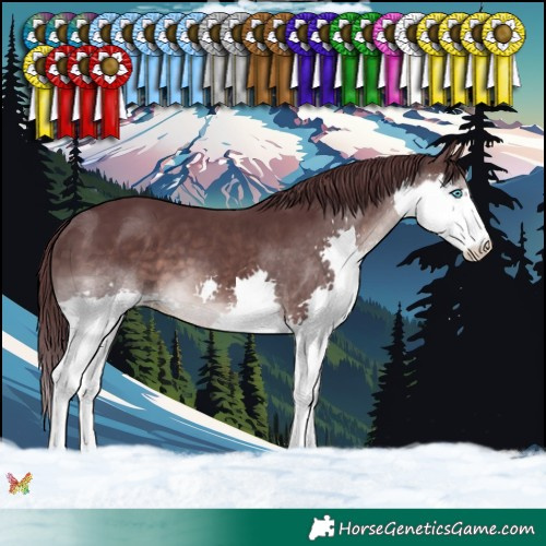 Horse Color:Platinum Chocolate Brown Splash 