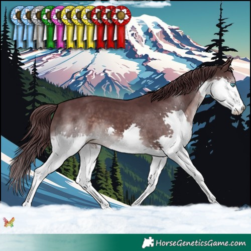 Horse Color:Platinum Chocolate Brown Splash 