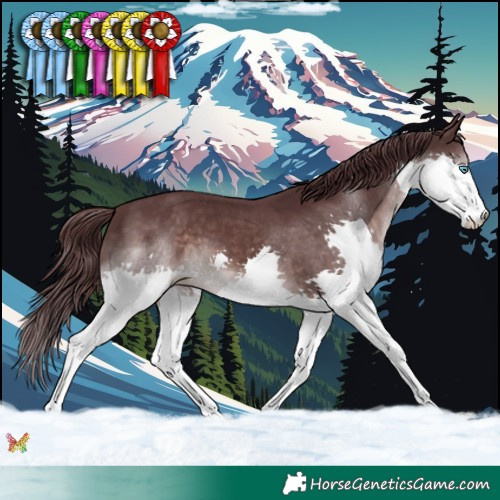 Horse Color:Platinum Chocolate Brown Splash 