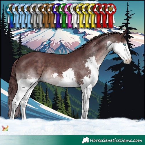 Horse Color:Platinum Chocolate Brown Splash 