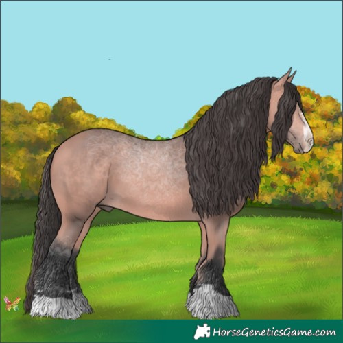 Horse Color:Platinum Bay 