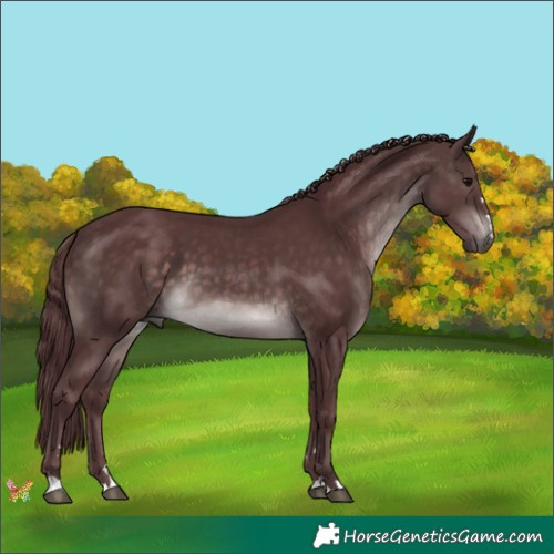 Horse Color:Platinum Chocolate Brown 