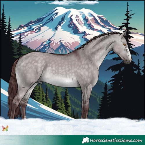 Horse Color:Platinum Chocolate Buckskin Dun 