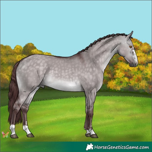 Horse Color:Platinum Chocolate Buckskin Dun 