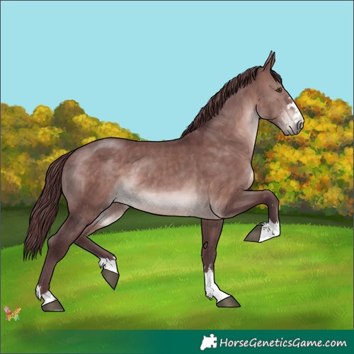 Horse Color:Platinum Chocolate Brown 