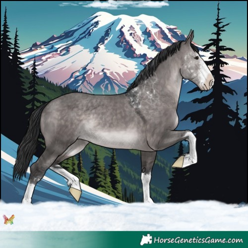 Horse Color:Platinum Brown Dun 