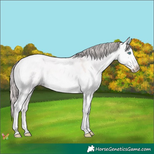 Horse Color:Platinum Perlino Dun Tobiano 