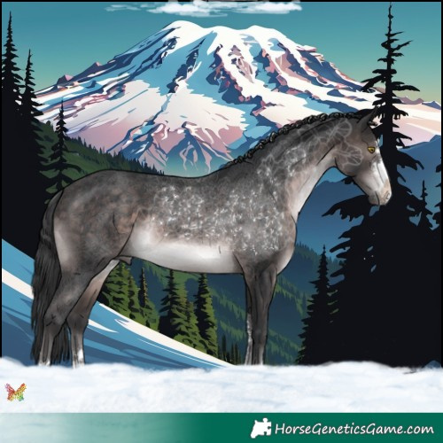 Horse Color:Platinum Brown 