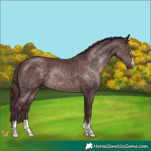 Horse Color:Platinum Chocolate Brown 