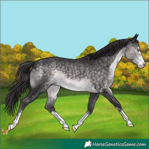 Horse Color:Platinum Buckskin 