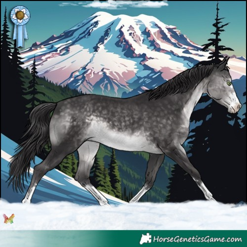 Horse Color:Platinum Buckskin 