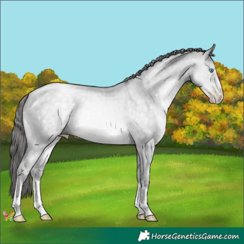 Horse Color:Platinum Buckskin Pearl Dun 