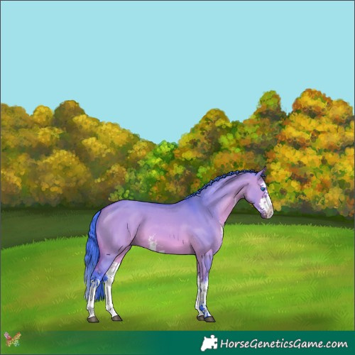 Horse Color:Watercolor White Spotted Bay Dun Splash 