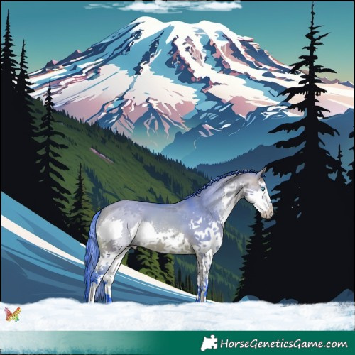 Horse Color:Watercolor White Spotted Bay Dun Splash 