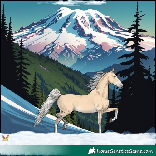 Horse Color:White Spotted Silver Buckskin 