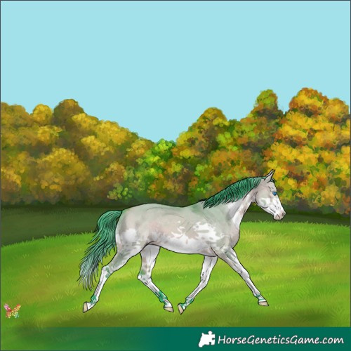 Horse Color:Watercolor White Spotted Bay Dun Splash 