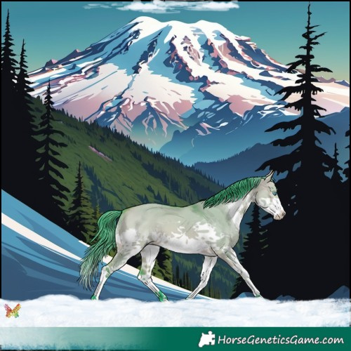 Horse Color:Watercolor White Spotted Bay Dun Splash 