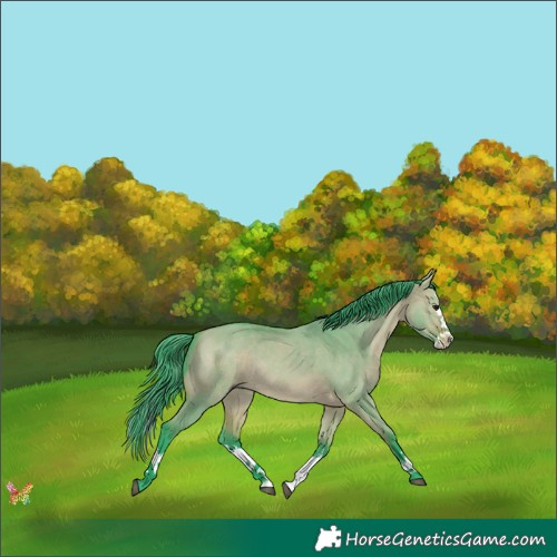 Horse Color:Watercolor White Spotted Bay Dun Splash 