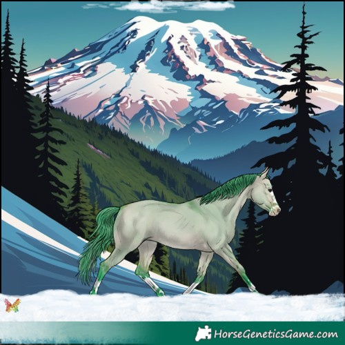 Horse Color:Watercolor White Spotted Bay Dun Splash 