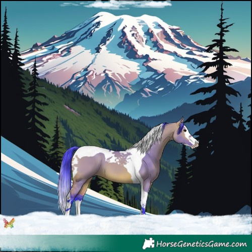 Horse Color:Watercolor Bay Dun Splash Tobiano 