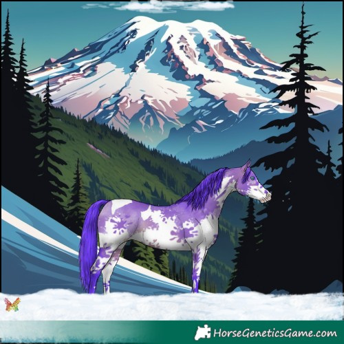 Horse Color:Watercolor Brown Dun Splash Tobiano 